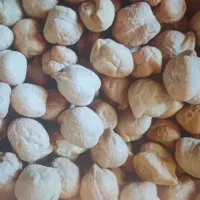 نخود بهاره بذری نمونه بوجاری شده