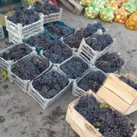 انگور