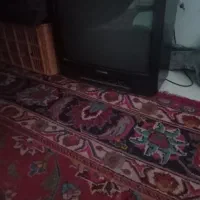 تلویزیون