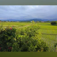 زمین-کشاورزی