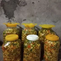 آشپزی با مدیریت خانوم ابراهیمی|خدمات پذیرایی، مراسم|آبیک, |دیوار