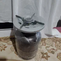 پگنیک