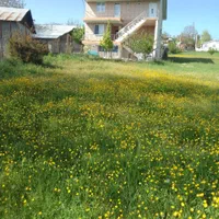 اجاره روزانه/هفتگی/ماهانه آپارتمان ۱۱۰ متری|اجارهٔ کوتاهمدت آپارتمان و سوئیت|برهسر, |دیوار