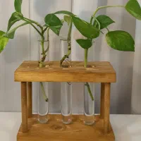 دست سازه های چوبی|صنایع دستی و سایر لوازم تزئینی|آشخانه, |دیوار