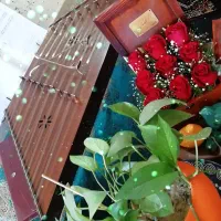 سنتور کاملا نو بامیز چاووش و کیف