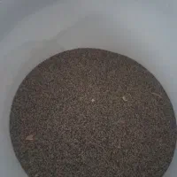 بذر کشاورزی