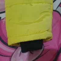 فروش کاپشن دخترانه|لباس|ابهر, |دیوار