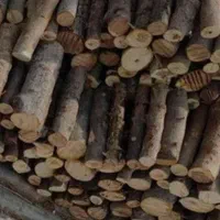 هیزم شومینه ای