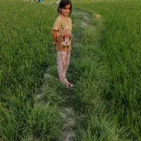 زمین-کشاورزی-100000متر