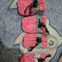 پاپوش یا کفش سگ نو نو