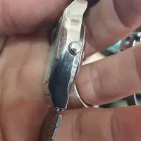 سیکو فایو اصل ژاپن اتوماتیک ۶۳۰۹|ساعت|رشت, پارک شهر|دیوار