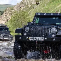 تور آفرودی جنگلی