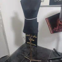 مانکن سوزن خور