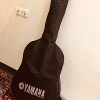 گیتار دیاموند کاملا نو