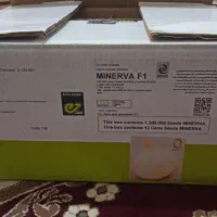 بذر پیاز ۱۱عدد قوطی آرژانتین|گل و گیاه طبیعی|رودبار, |دیوار