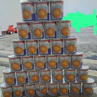 35قوطی پیاز تاکی