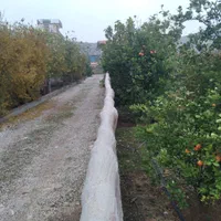 سوییت خانه مسافر اقامت ویلا باغ هتل اسکان مجتمع|اجارهٔ کوتاهمدت آپارتمان و سوئیت|ایذه, |دیوار