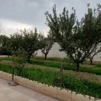 باغچه 500متری سکونت دائم/شهریار/دهشاد/میدان نماز|فروش خانه و ویلا|شهریار, دهشاد بالا|دیوار