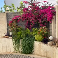 منزل-ویلایی-250متری-دونبش-دوطبقه-شهرک-گلستان