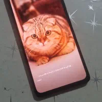 شیائومی ردمی نوت ۱۰ پرو ۲۵۶ گیگ