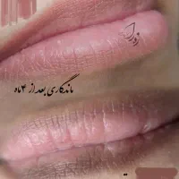 مدل برای رفع تیرگی و بدرنگی لب + میکرو ابرو|خدمات آرایشگری و زیبایی|اهواز, کوروش|دیوار