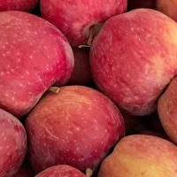 فروش سیب|عمدهفروشی|ایجرود, |دیوار