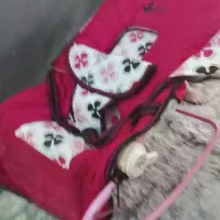 لالایی نونو 600000