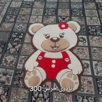ظروف