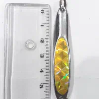 ماهیگیری قاشقک