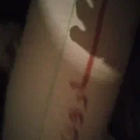 فروش برنج چلتوک طارم خشک وکولرزده