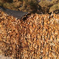 چادر استتار خودرو