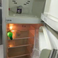 یک عدد یخچال موتور امریکایی کم کار در حد نو|یخچال و فریزر|میناب, |دیوار