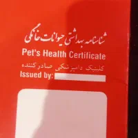 حیوان خانگی|سگ|کرج, خرمدشت|دیوار