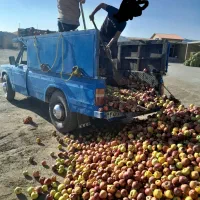 نیسان... سایپا کرایه با قیمت توافقی