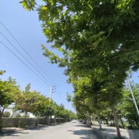 پلاک ۱ ساحل رادیو دریا ۴۰۰ متر سند ۶ دانگ
