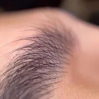 مدل میکروبلیدینگ ابرو