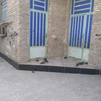 سوسنگرد-سه-راه-هویزه-خیابان-ش-ناظم-حمادی