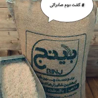 برنج طارم هاشمی (برداشت تازه)