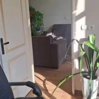 منشی فروش وکارشناس فروش تلفنی خانم