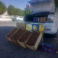 خرما برحی آبادان