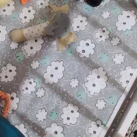 تخت گهواره درحد نو با تشک تختش|تخت و صندلی بچه|رضویه, |دیوار