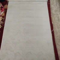 پرده زبرا