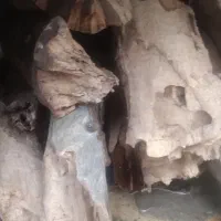 هیزم گونی بزرگ جا ارد شکسته شد