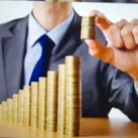 سرمایه گذار سرمایه سرمایه مشارکت