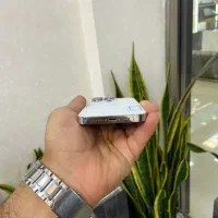 جشنواره فروش محصولات ایفونiPhone ۱۴ پرواقساط محدود|موبایل|اصفهان, احمدآباد|دیوار