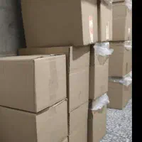 کارتن سازی شقایق