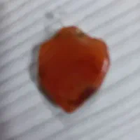 عقیق|کلکسیون اشیاء عتیقه|زابل, |دیوار