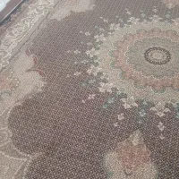 فرش|فرش|زنجان, |دیوار