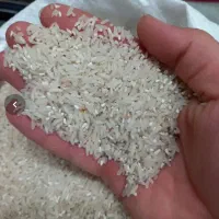 برنج ایرانی درجه یک|خوردنی و آشامیدنی|مشکین‌دشت, |دیوار