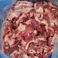 پخش خورده گوشت گوسفندی  گوساله